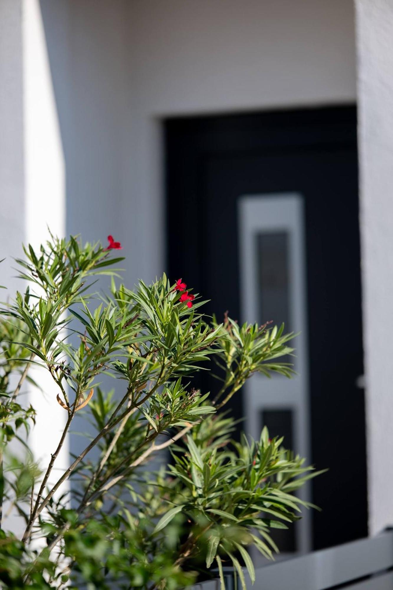 Villa Essenza - Luksuzne Kuce Za Odmor Βόντιτσε Εξωτερικό φωτογραφία